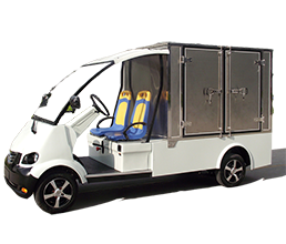 Electric Customized Vehicle 
