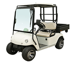 Electric Golf Cart DU-C2 with EEC