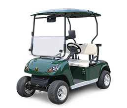 2 Seater Electric Golf Cart DG-C2-5