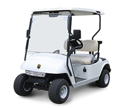 2 Seater Electric Golf Cart DG-C2
