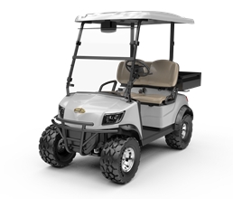 Electric Lifted Cart  DH-M2+Cargo box