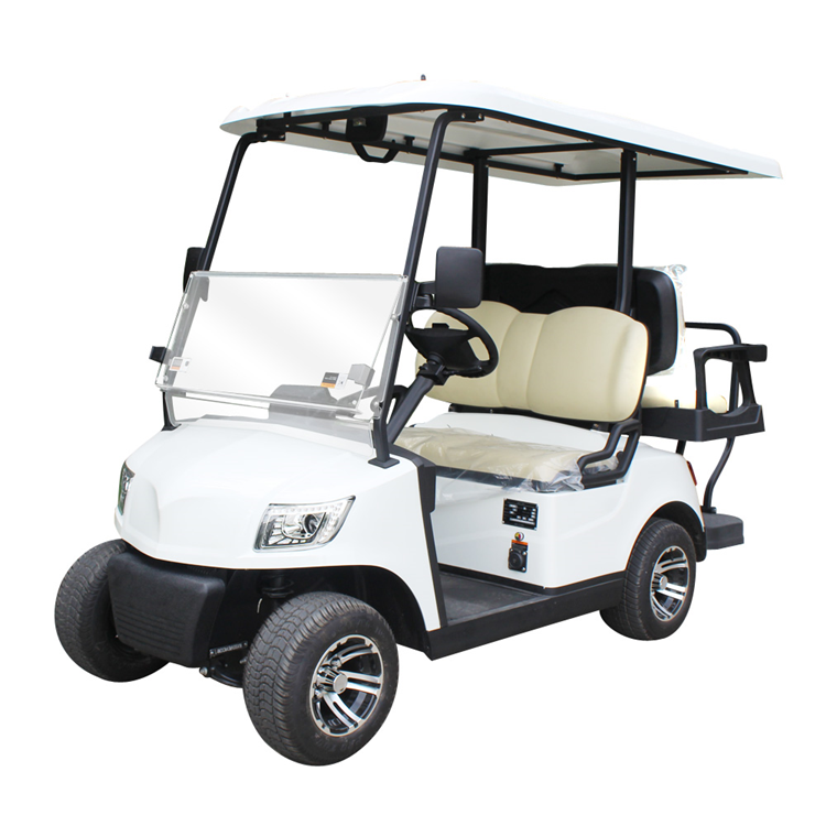  Electric Golf Cart 