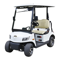 2 Seater Electric Golf Cart DS-A2