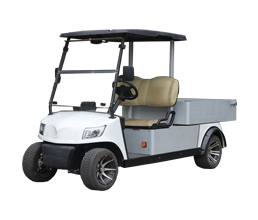 Electric Customzied Cart 