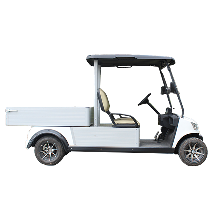 Golf Cart with cargo