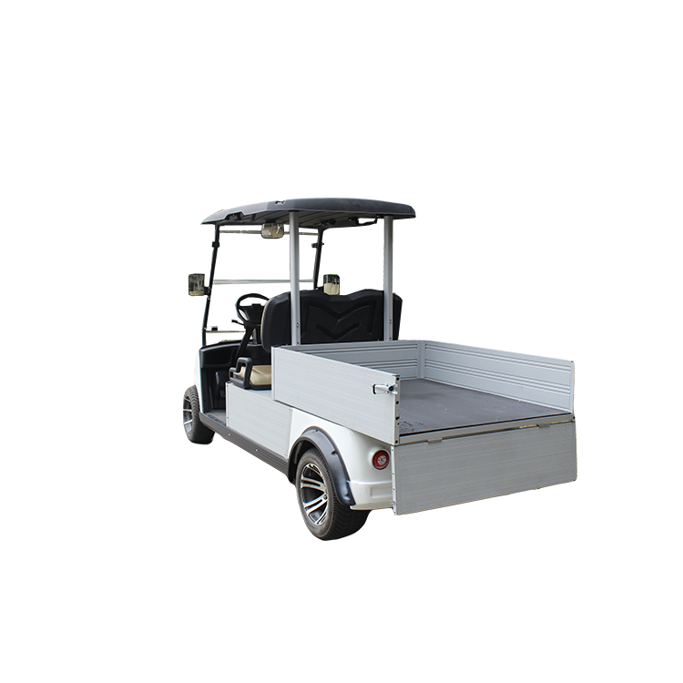 Golf Cart with cargo
