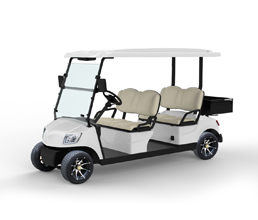 4 Seater Electric Golf Cart DG-M4+ Cargo box