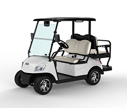 4 Seater Electric Golf Cart DG-M2+2