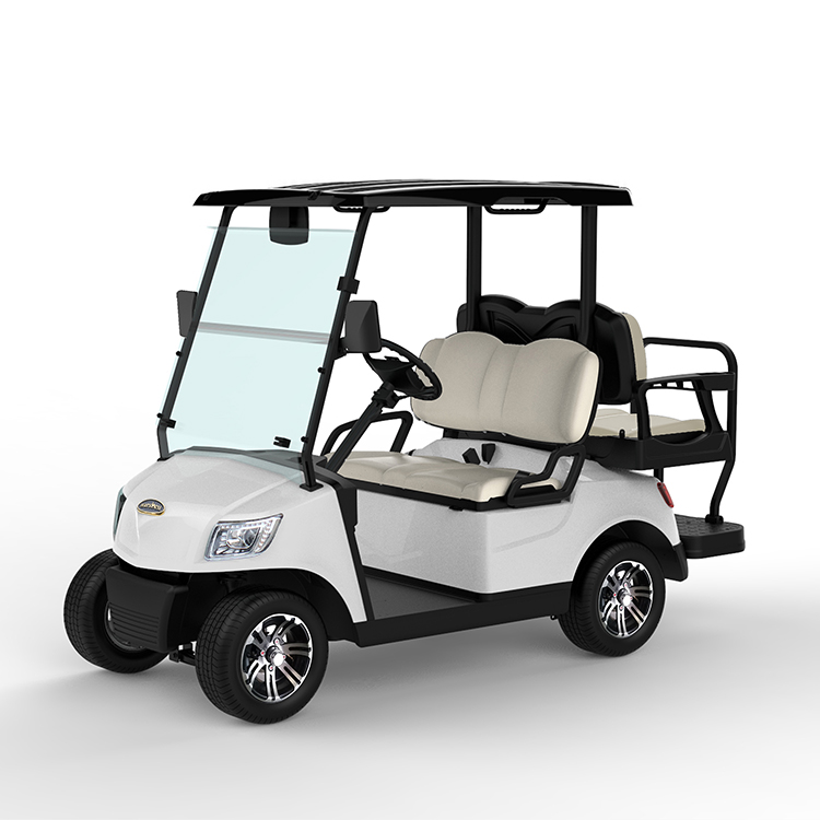  Electric Golf Cart 