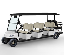 2 Seater Electric Golf Cart DG-M6+2