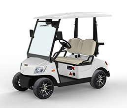 2 Seater Electric Golf Cart DS-A2