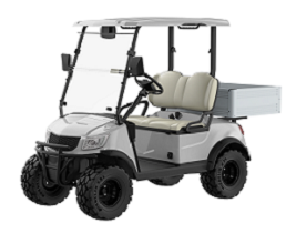 Electric Lifted Cart DH-M2