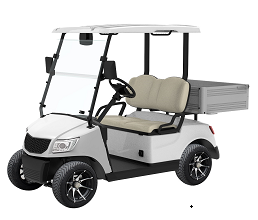 Electric Customzied Cart 