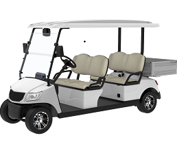 4 Seater Electric Golf Cart DG-M4S