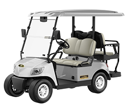 Marshell 4 Seater Electric Golf Cart with Lithium Battery DG-M2+2