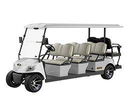 Marshell 8 Seater Electric Golf Cart with Lithium Battery DG-M6+2