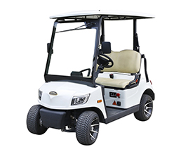 Marshell 2 Seater Electric Golf Cart with Lithium Battery DS-A2-2