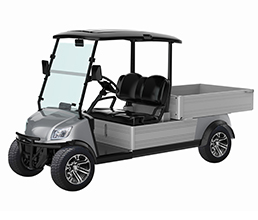 Marshell 2 Seater Electric Lithium Utility Golf Cart with Cargo Box DU-CA500