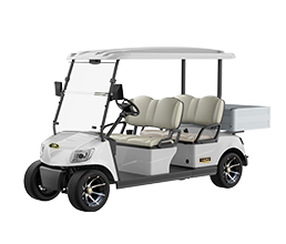 Marshell Electric Lithium Battery Utility Golf Cart DG-M4S