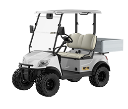 Marshell 2 Seater Electric Golf Cart with Lithium Battery DH-M2