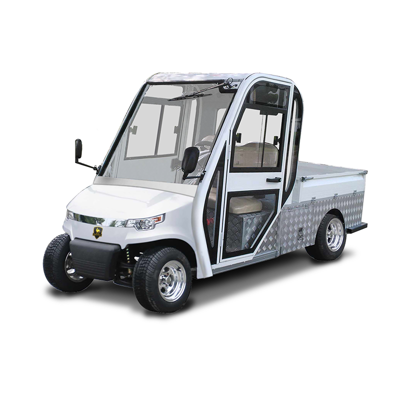 Low Speed Vehicle 