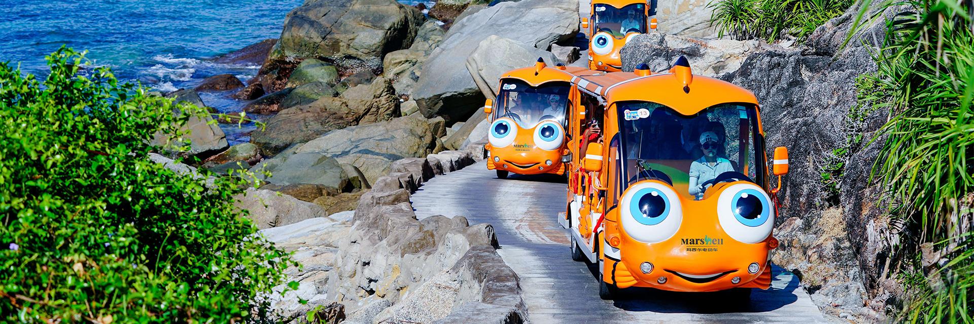 Electric Sightseeing Bus