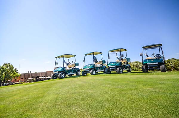 marshell-cart-1.jpg
