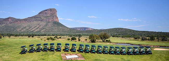 marshell-cart-2.jpg