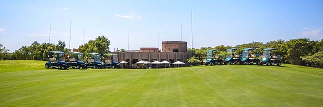 marshell-cart-3.jpg